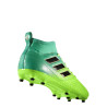 adidas Ace 17.3 FG Junior BB1027