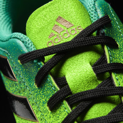 adidas Ace 17.4 FxG Junior BA9756