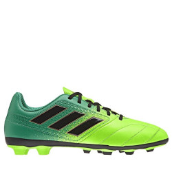 adidas Ace 17.4 FxG Junior BA9756