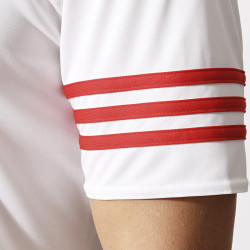 koszulka adidas Entrada 14 F50490