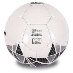 piłka Puma Elite 2 FIFA 082491 01