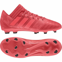 adidas Nemeziz 17.3 FG  CP9166