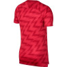 koszulka Nike Dry Poland Squad Football Top 893365 653