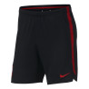 spodenki Nike Dry Poland Squad 893528 010