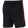 spodenki Nike Dry Poland Squad 893528 010