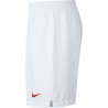 spodenki Nike Breathe Poland Home Stadium 894016 100
