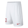 spodenki Nike Breathe Poland Home Stadium 894016 100