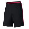 spodenki Nike Dry Squad Football Shorts 859908 013
