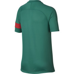 koszulka Nike Dry CR7 Academy 894870 348