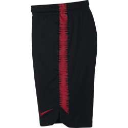 spodenki Nike Dry Poland Squad Shorts 893825 010
