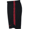 spodenki Nike Dry Poland Squad Shorts 893825 010