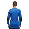 bluza bramkarska adidas Assita 17 Junior GK AZ5399