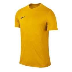 koszulka Nike Park VI 725891 739