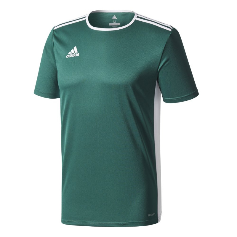 koszulka adidas Entrada 18 Junior CD8358/ CE9563