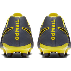 Nike Tiempo Legend 7 Academy FG AH7242 070
