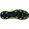Nike Jr. Phantom Venom Club FG AO0396 717