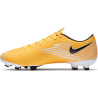 Nike Vapor 13 Academy FG/MG AT5269 801