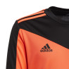 bluza bramkarska adidas Squadra 21 Goalkeeper Jersey Jr GK9806