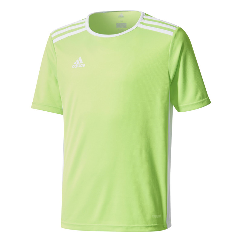 koszulka adidas Entrada 18 Junior CE9755/ CE9758