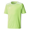 koszulka adidas Entrada 18 Junior CE9755/ CE9758