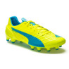 Puma evoSpeed 1.4 Fg 103264 04