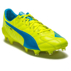 buty Puma evoSpeed SL Lt Fg 103260 04