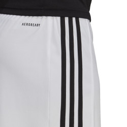 spodenki adidas Squadra 21 Shorts GN5773