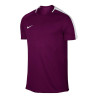 koszulka Nike Dry Academy Top 832967 665