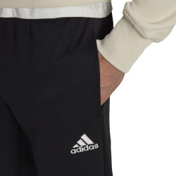 spodnie Entrada 22 Training Pants HC0332