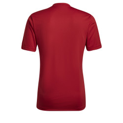 koszulka adidas Entrada 22 GFX HB0572