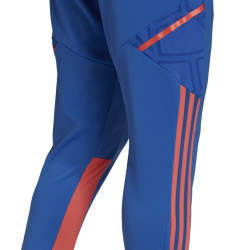 spodnie Condivo 22 Predator Pants HG3882