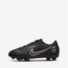 Nike Jr. Mercurial Vapor 14 Academy FG/MG DJ2856 007