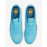 Nike Mercurial Vapor 14 Academy TF DJ2879 484