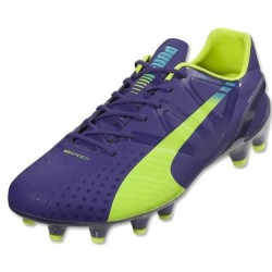 Puma Evospeed 1.3 Fg 103008 01