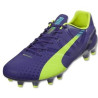Puma Evospeed 1.3 Fg 103008 01