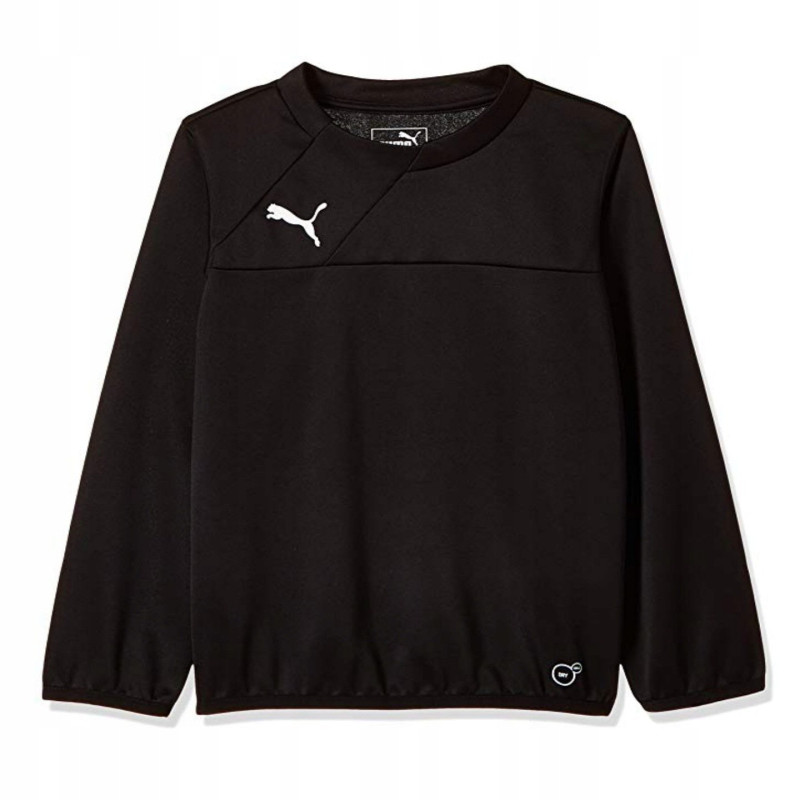 bluza męska treningowa Puma Esquadra 654380 27