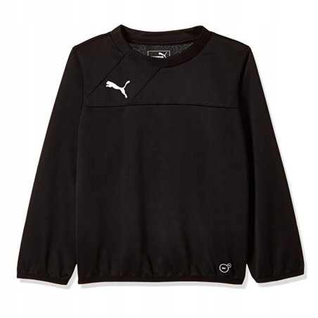 bluza męska treningowa Puma Esquadra 654380 27