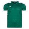 koszulka Puma Pitch Junior 702070 05