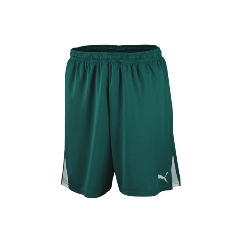 spodenki PUMA Herren 701274 05