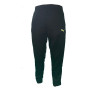 spodnie Puma Training Pant 654196 67