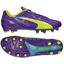 Puma Evospeed 1.3 Fg 103008 01