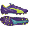 Puma Evospeed 1.3 Fg 103008 01