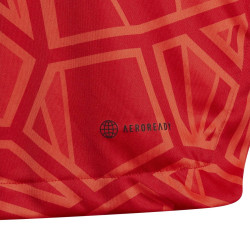 bluza bramkarska adidas Condivo 22  Jr H21239