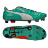 Puma Evopower 1 Mixed Sg 102944 03
