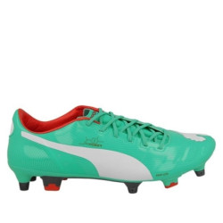 Puma Evopower 1 Mixed Sg 102944 03