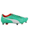 Puma Evopower 1 Mixed Sg 102944 03