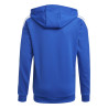 bluza adidas Squadra 21 Hoody Jr GP6434