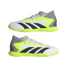 copy of adidas Predator Accuracy.3 IN Jr GW7076