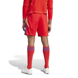 copy of spodenki adidas Entrada 22 HC5051