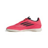 adidas F50 League IN IF1331